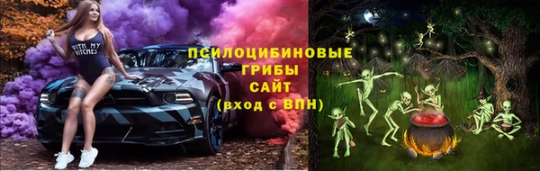 МДПВ Волосово